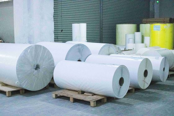 Kertas sintetis berlapis Kertas termal Jumbo Roll 75u Ketebalan permukaan Lem minyak